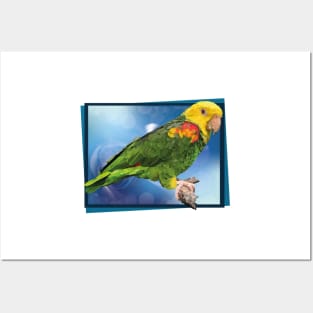 yellow-headed parrot Posters and Art